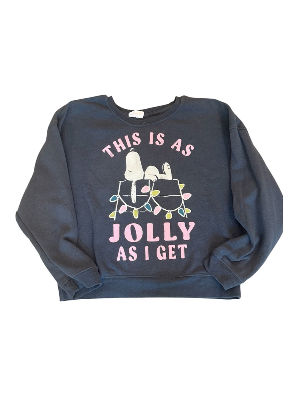 Graphic Crewneck Sweatshirt with Snoopy Holiday Print - Gray & Pink